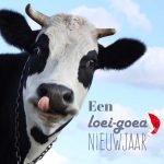 zakelijke kerstkaart dieren