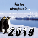 zakelijke kerstkaart dieren