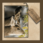 zakelijke kerstkaart dieren