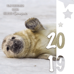 zakelijke kerstkaart dieren