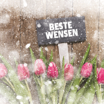 zakelijke kerstkaart holland